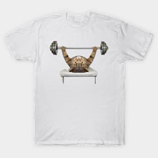 cat T-Shirt